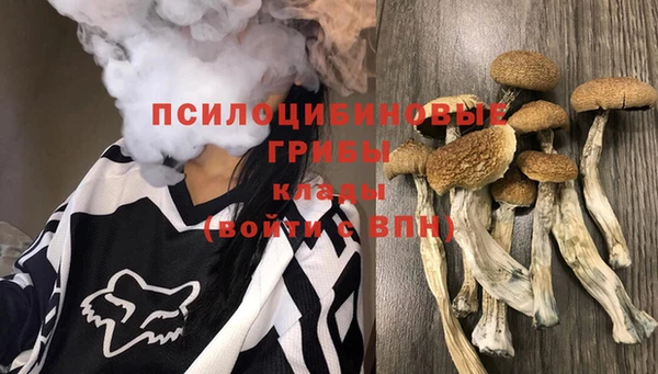 амфетамин Богородск