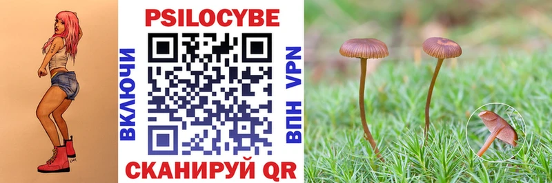 Галлюциногенные грибы прущие грибы  дарк нет какой сайт  Невель  hydra сайт 