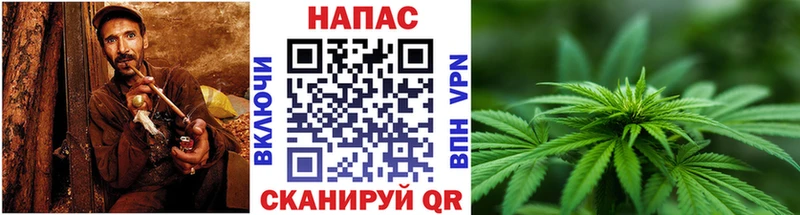 Бошки марихуана LSD WEED  shop какой сайт  Невель  как найти закладки 